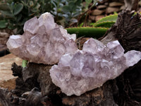 Natural Jacaranda Amethyst Single Quartz Crystals x 3 From Mumbwa, Zambia