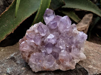 Natural Jacaranda Amethyst Single Quartz Crystals x 3 From Mumbwa, Zambia