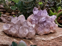 Natural Jacaranda Amethyst Single Quartz Crystals x 3 From Mumbwa, Zambia