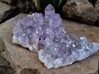 Natural Jacaranda Amethyst Single Quartz Crystals x 3 From Mumbwa, Zambia