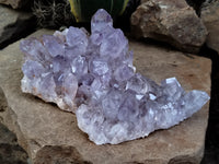 Natural Jacaranda Amethyst Single Quartz Crystals x 3 From Mumbwa, Zambia