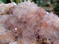 Natural Dark Amethyst Spirit Quartz Clusters x 2 From South Africa