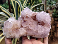 Natural Dark Amethyst Spirit Quartz Clusters x 2 From South Africa