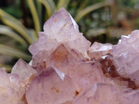 Natural Dark Amethyst Spirit Quartz Clusters x 2 From South Africa