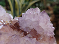 Natural Dark Amethyst Spirit Quartz Clusters x 2 From South Africa