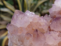 Natural Dark Amethyst Spirit Quartz Clusters x 2 From South Africa