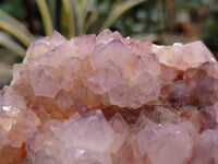 Natural Dark Amethyst Spirit Quartz Clusters x 2 From South Africa