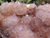 Natural Dark Amethyst Spirit Quartz Clusters x 2 From South Africa