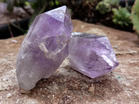 Natural Jacaranda Amethyst Single Quartz Crystals x 35 From Mumbwa, Zambia