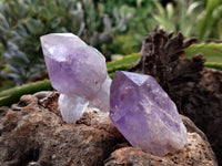 Natural Jacaranda Amethyst Single Quartz Crystals x 35 From Mumbwa, Zambia