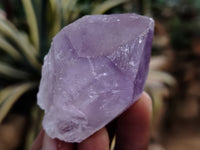 Natural Jacaranda Amethyst Single Quartz Crystals x 35 From Mumbwa, Zambia