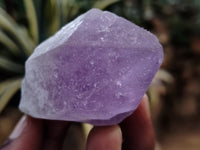 Natural Jacaranda Amethyst Single Quartz Crystals x 35 From Mumbwa, Zambia