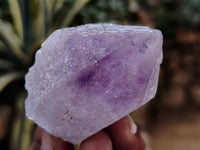 Natural Jacaranda Amethyst Single Quartz Crystals x 35 From Mumbwa, Zambia