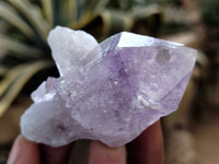 Natural Jacaranda Amethyst Single Quartz Crystals x 35 From Mumbwa, Zambia