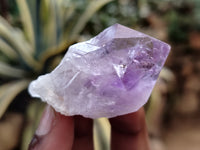 Natural Jacaranda Amethyst Single Quartz Crystals x 35 From Mumbwa, Zambia