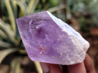 Natural Jacaranda Amethyst Single Quartz Crystals x 35 From Mumbwa, Zambia