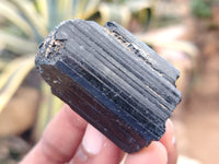 Natural Alluvial Schorl Black Tourmaline Crystals x 31 Kg From Zimbabwe