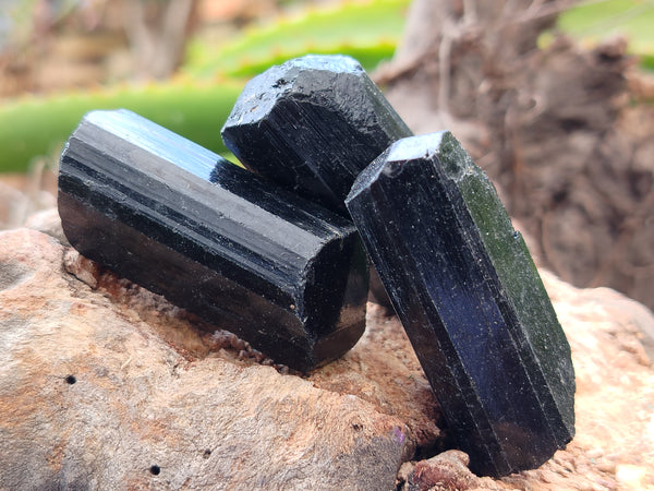 Natural Alluvial Schorl Black Tourmaline Crystals x 31 Kg From Zimbabwe