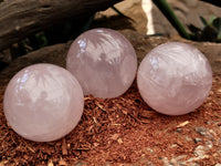 Polished Rose Quartz Spheres x 3 From Ambatondrazaka, Madagascar