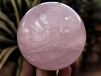 Polished Rose Quartz Spheres x 3 From Ambatondrazaka, Madagascar