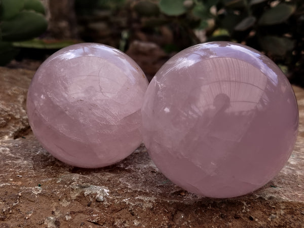 Polished Rose Quartz Spheres x 3 From Ambatondrazaka, Madagascar