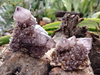 Natural Dark Amethyst Spirit Quartz Clusters x 12 From South Africa