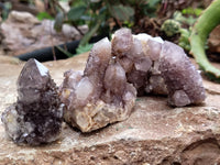 Natural Dark Amethyst Spirit Quartz Clusters x 12 From South Africa