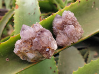 Natural Dark Amethyst Spirit Quartz Clusters x 12 From South Africa