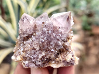 Natural Dark Amethyst Spirit Quartz Clusters x 12 From South Africa