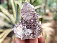 Natural Dark Amethyst Spirit Quartz Clusters x 12 From South Africa