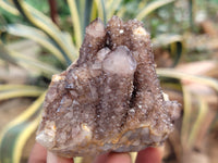 Natural Dark Amethyst Spirit Quartz Clusters x 12 From South Africa