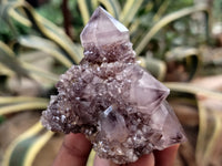 Natural Dark Amethyst Spirit Quartz Clusters x 12 From South Africa