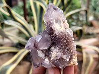 Natural Dark Amethyst Spirit Quartz Clusters x 12 From South Africa