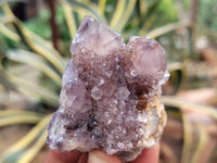 Natural Dark Amethyst Spirit Quartz Clusters x 12 From South Africa