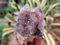 Natural Dark Amethyst Spirit Quartz Clusters x 12 From South Africa