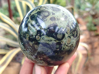 Polished Stromatolite Jasper Spheres x 3 From Katsepy, Madagascar