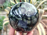 Polished Stromatolite Jasper Spheres x 3 From Katsepy, Madagascar