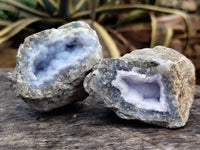 Natural Blue Lace Agate Geode Specimens x 12 From Nsanje, Malawi