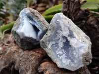 Natural Blue Lace Agate Geode Specimens x 12 From Nsanje, Malawi