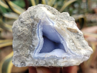 Natural Blue Lace Agate Geode Specimens x 12 From Nsanje, Malawi