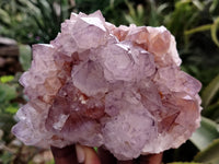 Natural Amethyst Spirit Quartz Clusters x 2 From South Africa