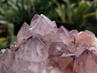 Natural Amethyst Spirit Quartz Clusters x 2 From South Africa