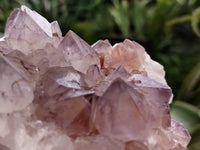 Natural Amethyst Spirit Quartz Clusters x 2 From South Africa