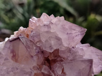 Natural Amethyst Spirit Quartz Clusters x 2 From South Africa