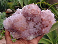 Natural Amethyst Spirit Quartz Clusters x 2 From South Africa