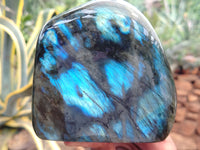 Polished Labradorite Standing Free Forms x 2 From Tulear, Madagascar