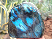 Polished Labradorite Standing Free Forms x 2 From Tulear, Madagascar