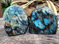 Polished Labradorite Standing Free Forms x 2 From Tulear, Madagascar