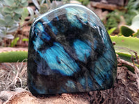 Polished Labradorite Standing Free Forms x 2 From Tulear, Madagascar