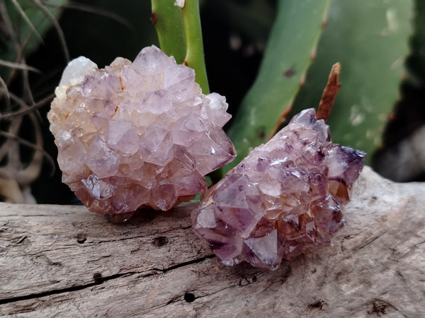 Natural Dark Purple Smokey Amethyst Spirit Quartz Clusters x 35 From South Africa